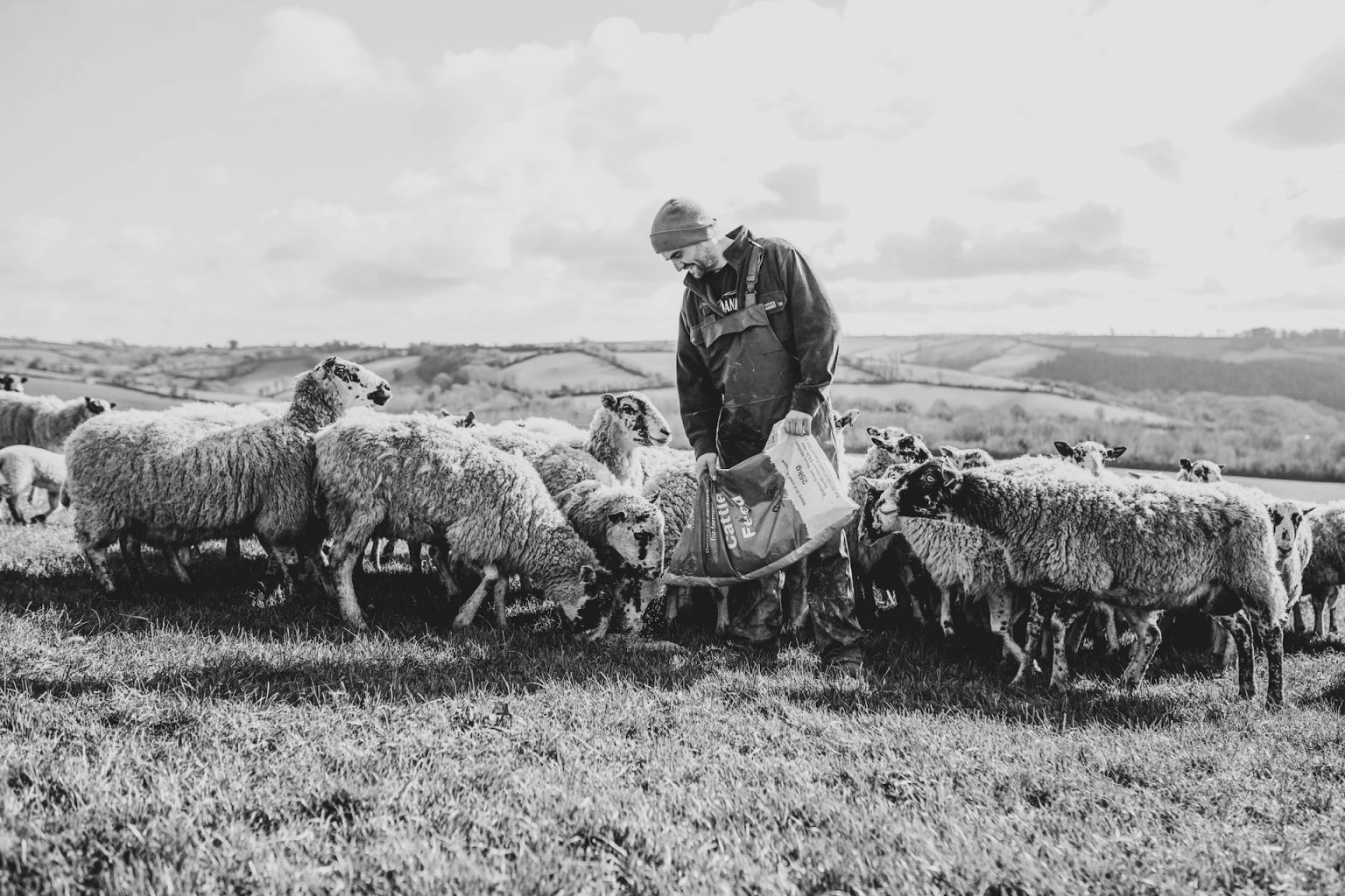 Aune Valley Meat Lamb