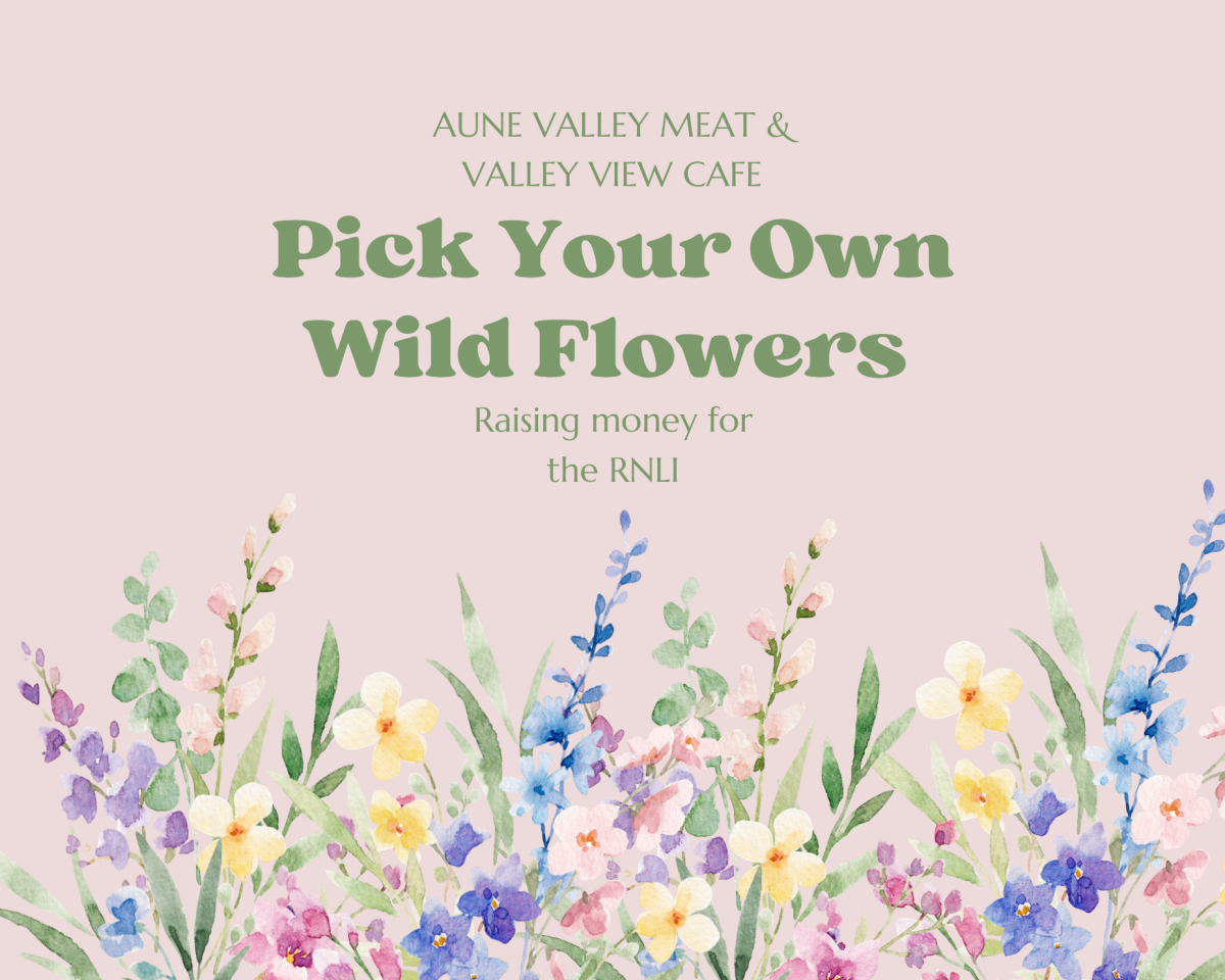 PYO Wildflowers