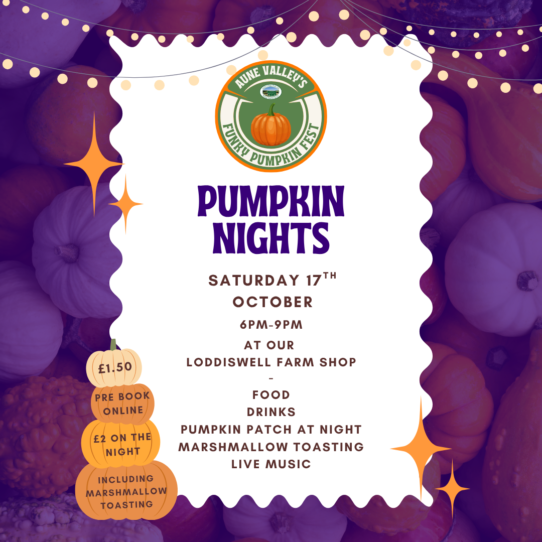 Pumpkin Night
